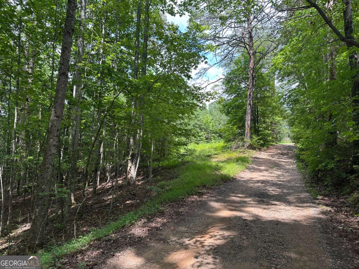 7-/+ Charlie Lemley RD