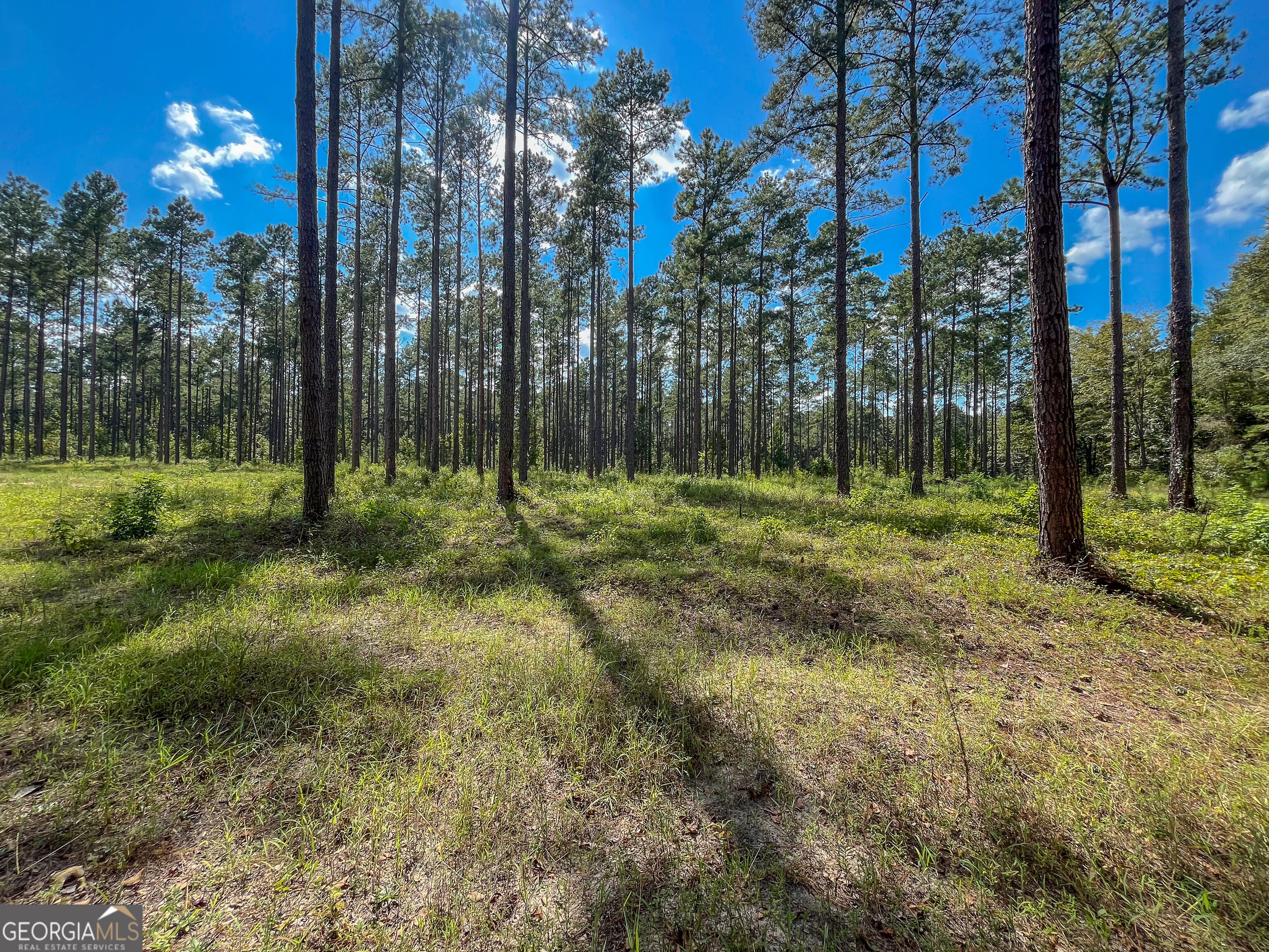 0 0 Mark Wood Rd. Lot 1