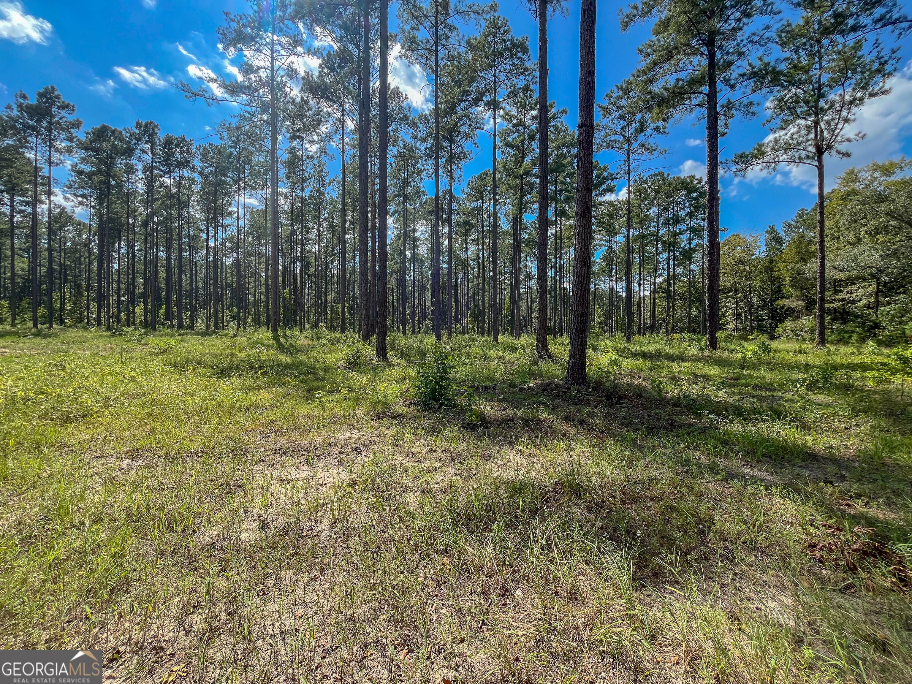 0 0 Mark Wood Rd. Lot 1