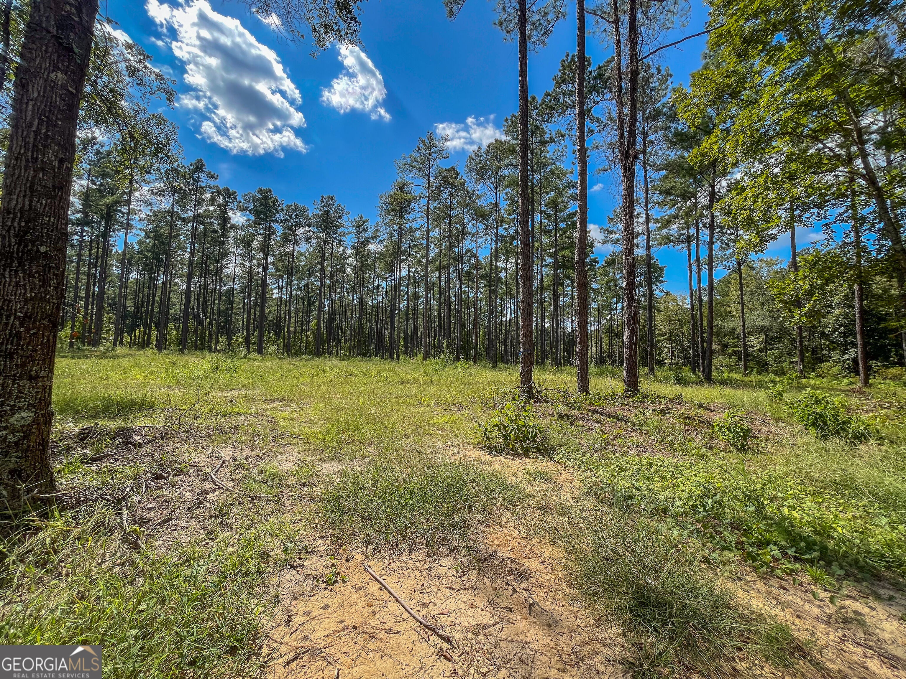 0 0 Mark Wood Rd. Lot 1