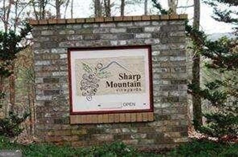 Single Family Residence in Jasper GA 301 Sharp Mountain Parkway 47.jpg