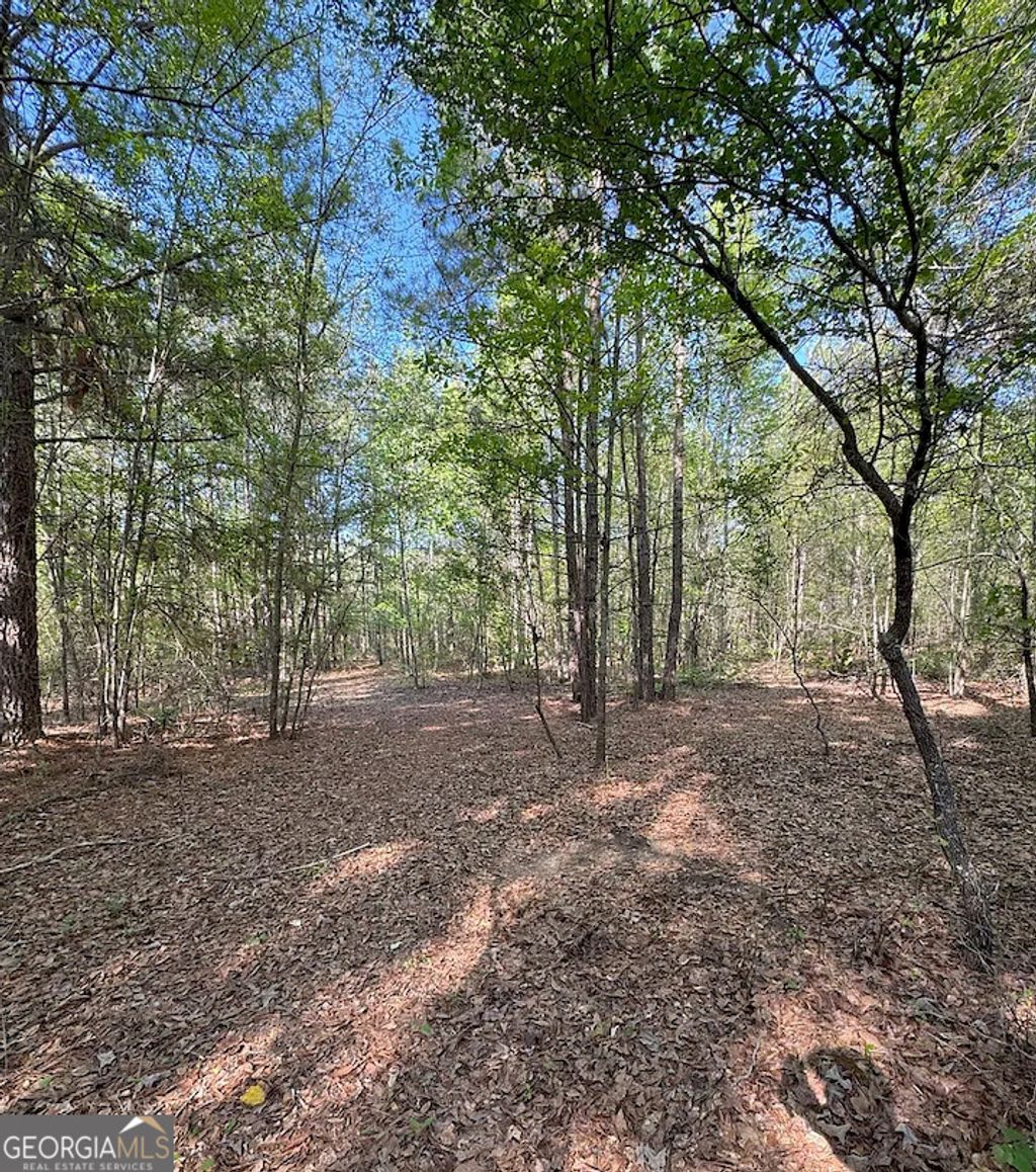 Photo of 0A Middle Ground Road, Louisville, GA 30434 (MLS # 10707378)