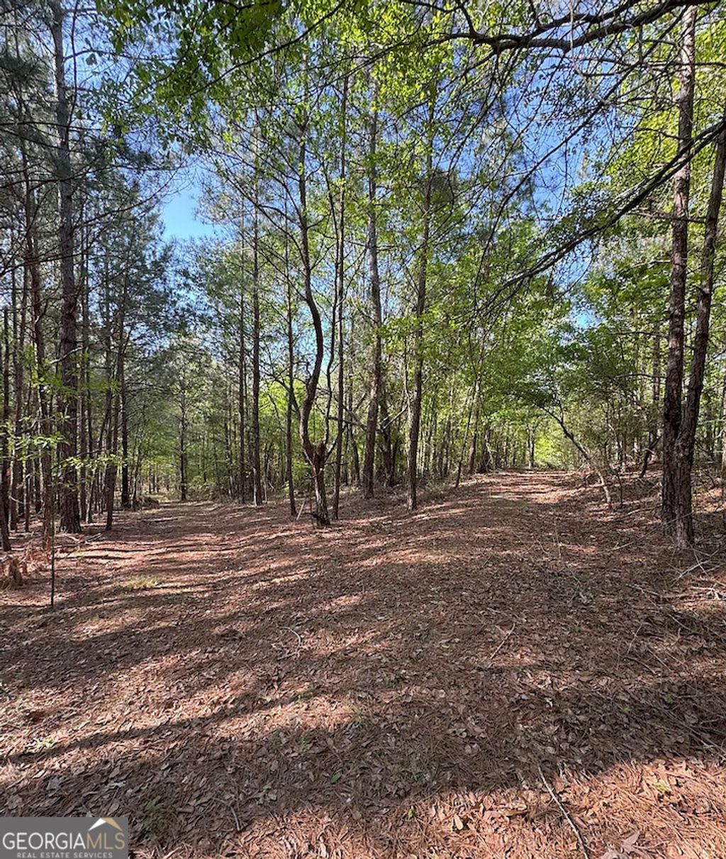Photo of 0A Middle Ground Road, Louisville, GA 30434 (MLS # 10707378)