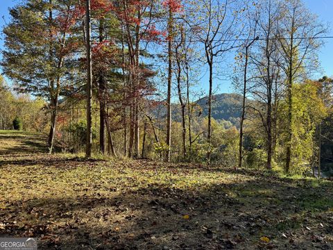 0 Zoellner LN Dillard GA 30537