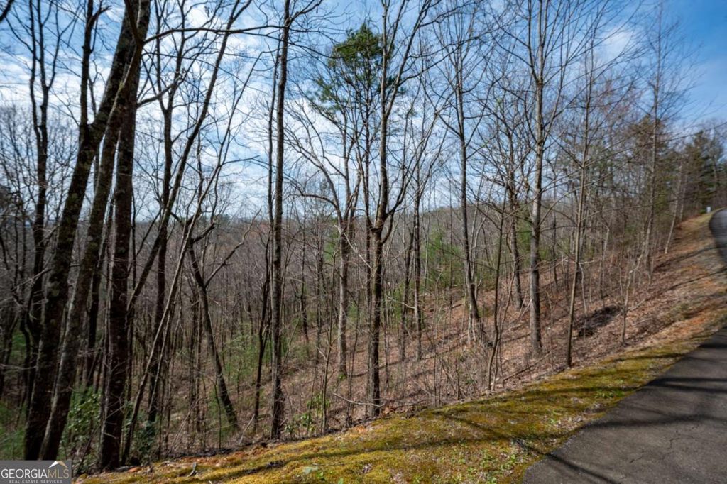 Photo of 7 Oceola Drive, Ellijay, GA 30540 (MLS # 10720022)