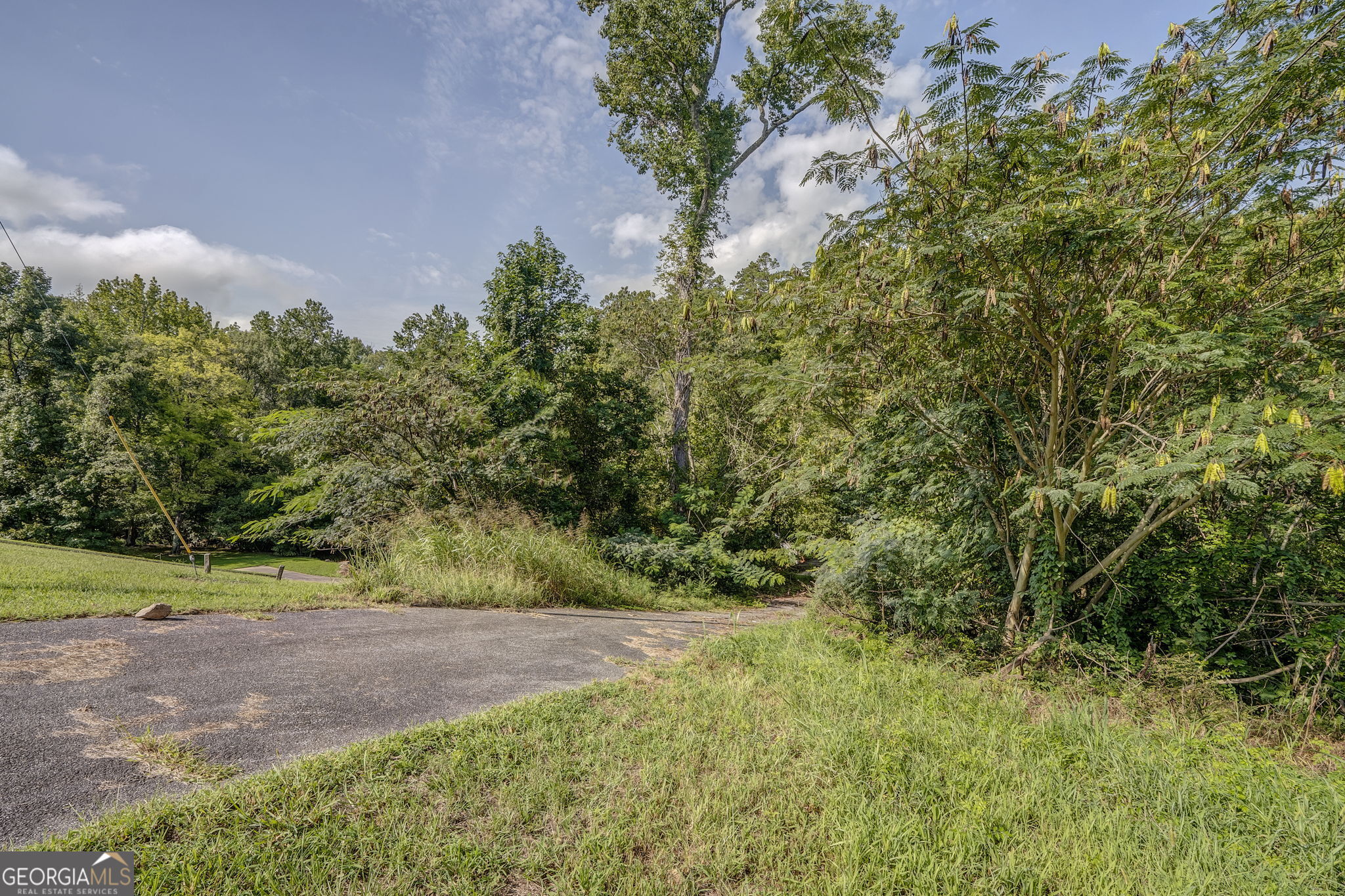 Peaceful and private, this expansive 59.44-acre estate spans four wooded parcels, offering a rare chance to shape a one-of-a-kind retreat in a natural setting. The property invites endless possibilities, from crafting a thoughtfully designed residence to creating recreational spaces that embrace the outdoors. Towering trees, open clearings, and a meandering creek enhance the sense of tranquility, providing a backdrop that feels both secluded and inspiring. With ample room to imagine gardens, walking trails, or wide stretches of open land, the opportunities are as vast as the acreage itself. Despite its quiet atmosphere, the location maintains convenient access to shopping, dining, and daily needs, making it a unique blend of seclusion and practicality. A rare offering for those seeking space, beauty, and vision.
