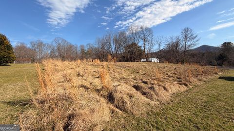 2402 Little John Lane Hiawassee GA 30546