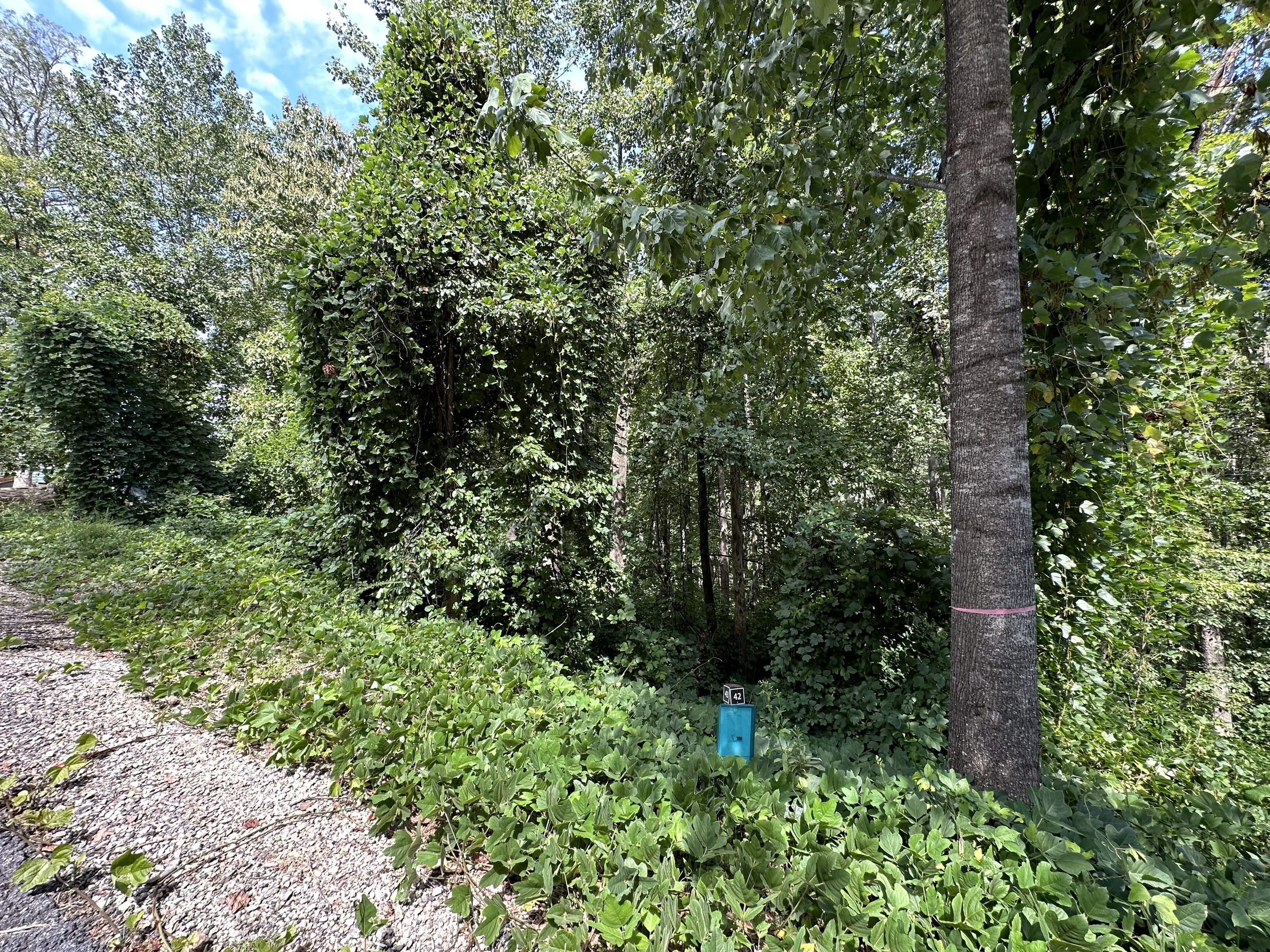 Clayton, Georgia 30525, United States, ,Land,Active,70623