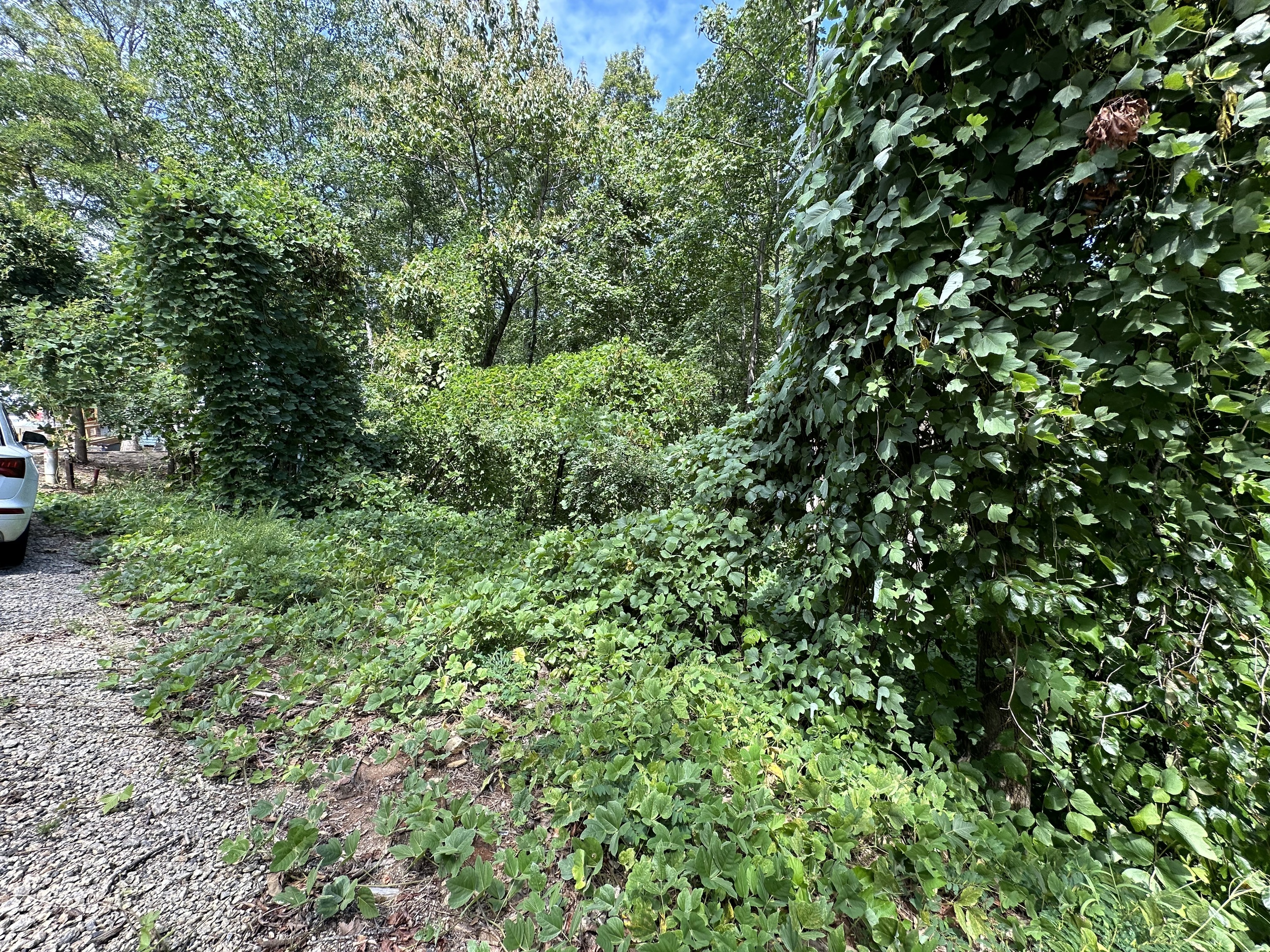 Clayton, Georgia 30525, United States, ,Land,Active,70623