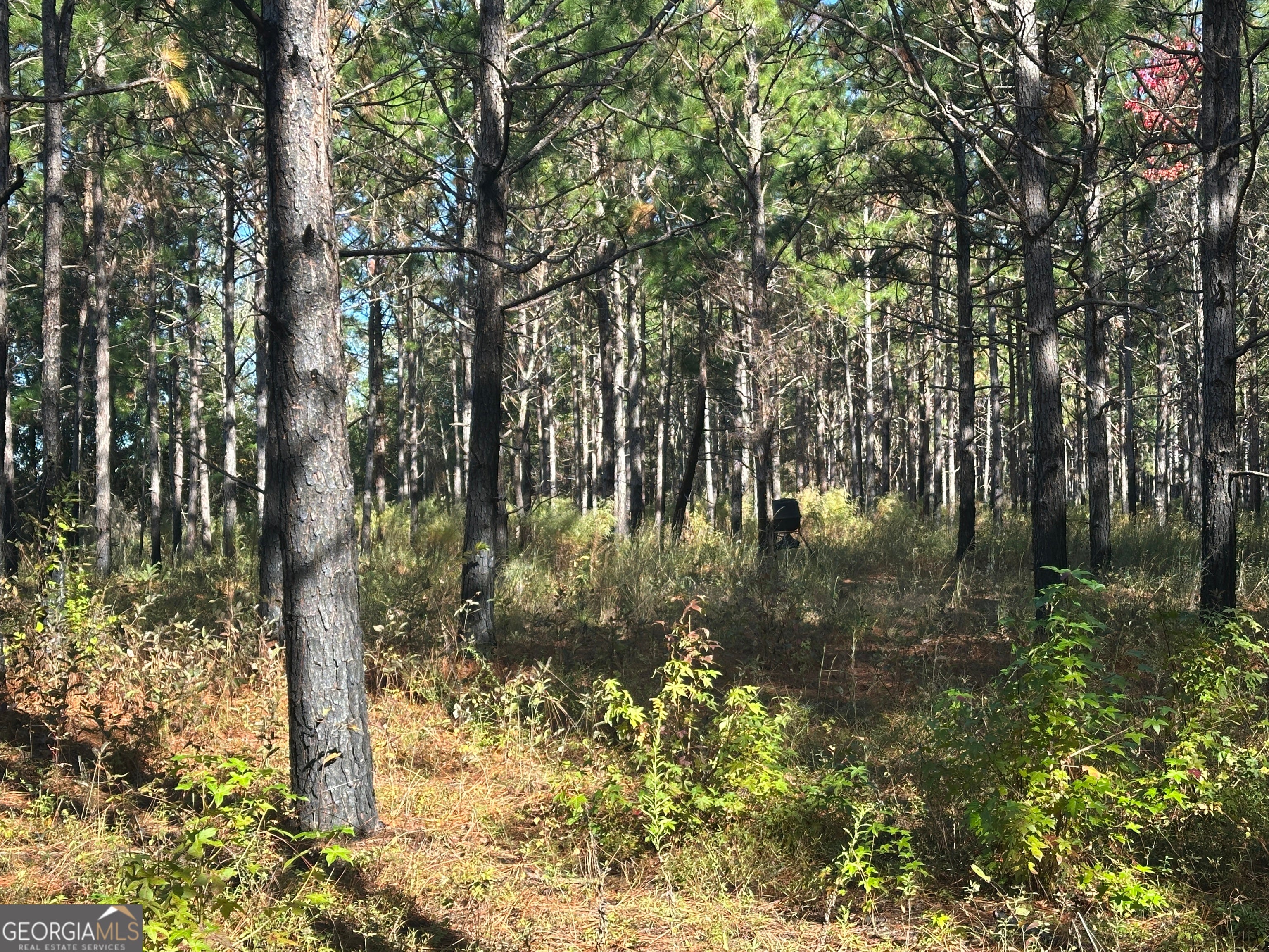 0 Buck Creek RD