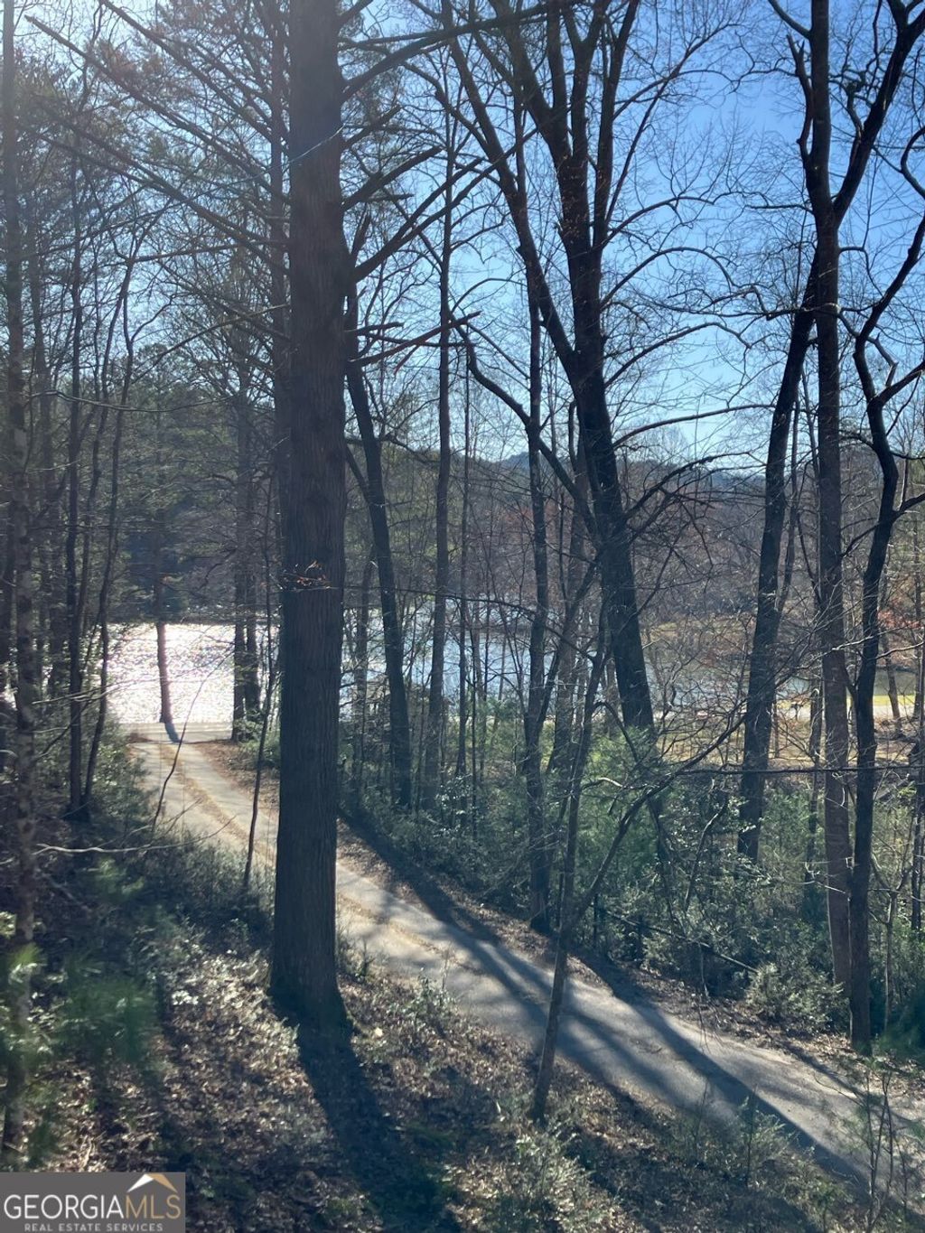 Photo of 68 Star Lake Lane, Sautee Nacoochee, GA 30571 (MLS # 10754969)