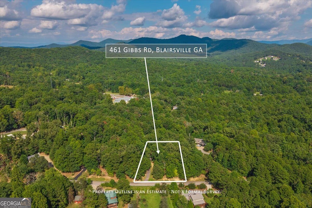 Photo of 461 Gibbs Road, Blairsville, GA 30512 (MLS # 10842910)