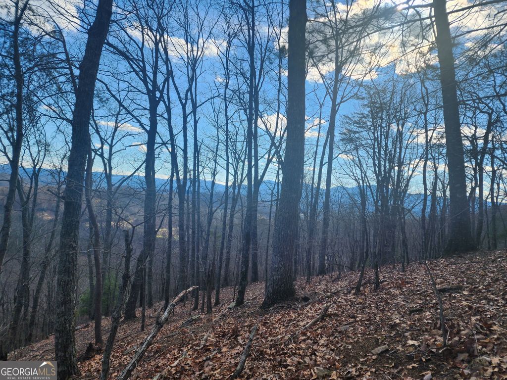 Photo of 0 Trackrock Gap Road, Blairsville, GA 30514 (MLS # 10669929)