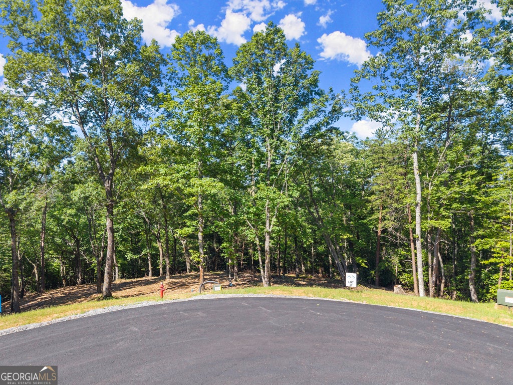 Photo of 228 Chimney Oaks Trail, Cleveland, GA 30528 (MLS # 10798936)