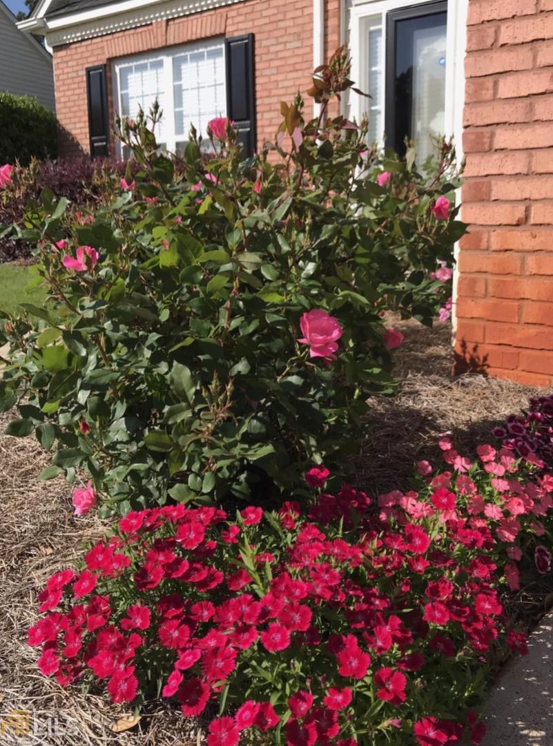 Towne Park - Residential