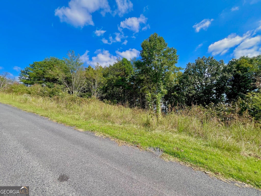 Photo of 7 Talona Mountain Road, Ellijay, GA 30536 (MLS # 10850526)