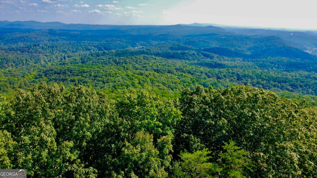 Photo of 7 Talona Mountain Road, Ellijay, GA 30536 (MLS # 10850526)
