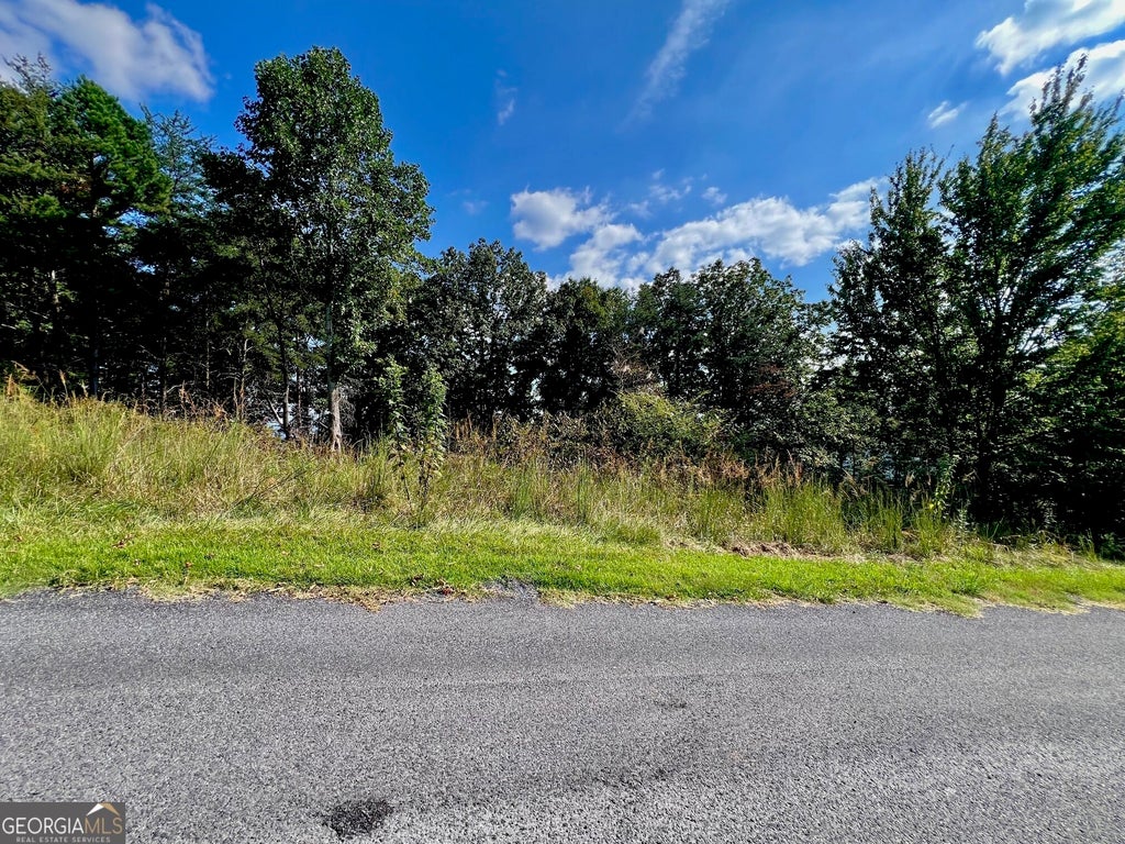 Photo of 7 Talona Mountain Road, Ellijay, GA 30536 (MLS # 10850526)