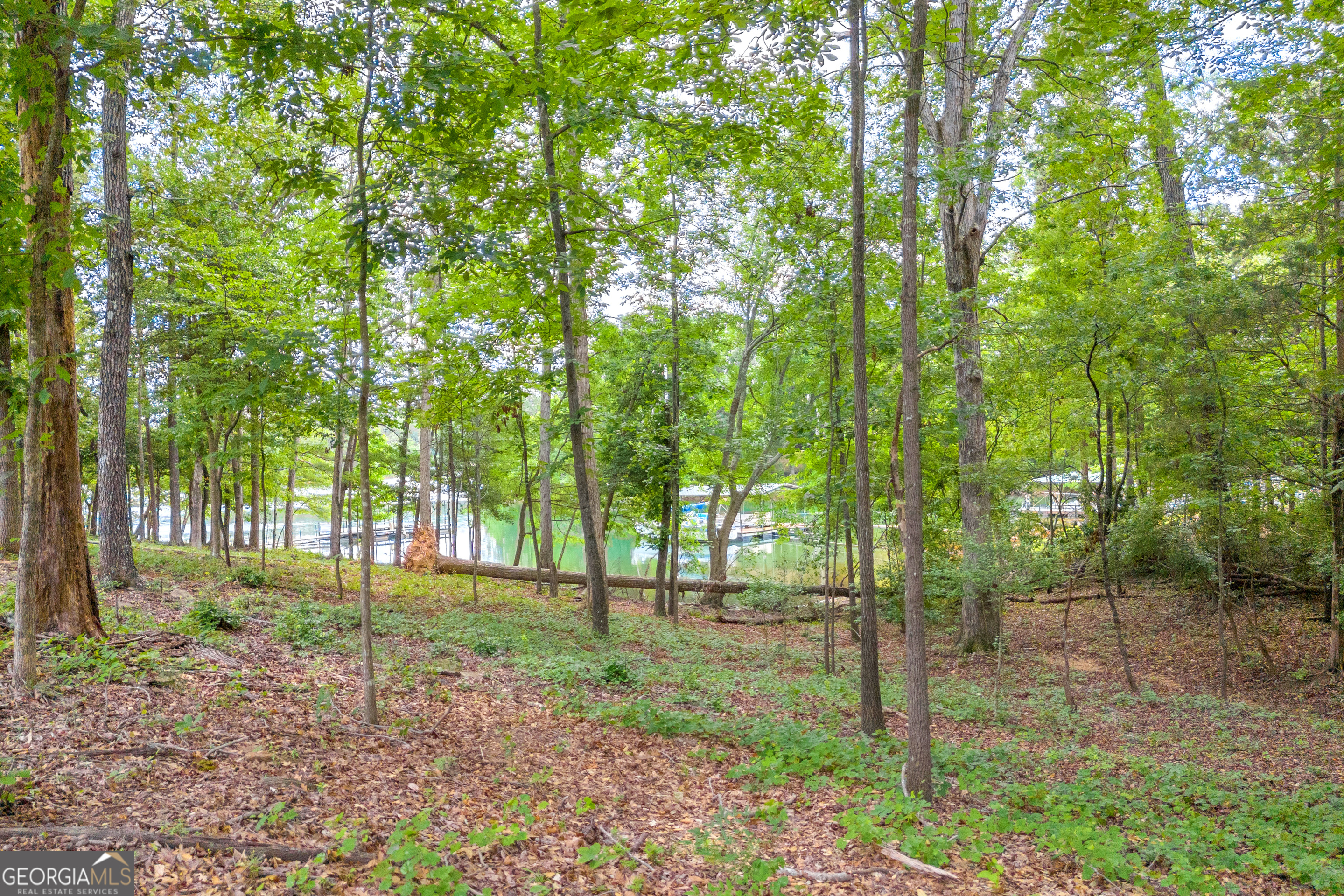 590 Rainbow DR