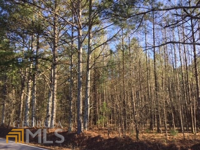 Rare Find in South Fayette County....163.7 Acres beautiful, secluded acres (a combination of 3 different tax parcels, PARCELS 0448 008, 0448 036, AND 0448 034) being sold all together. Excellent Road Frontage +/- 1964 ft. (paved) off McBride Rd. and +/-145 ft. (paved) off Antioch Rd. offering a mixture of beautiful woodlands, some open grassy areas as well as Woolsey Creek flowing through the corner of the property. This beautiful tract of land offers plenty of wildlife to enjoy all year round for those looking for a legacy dream estate home or some of the most beautiful potential home sites for development. Amazing location in award winning Whitewater School District and minutes from shopping & restaurants in Fayetteville, Peachtree City & Senoia...close to Trilith/Pinewood Studios and an easy commute to Atlanta's Hartsfield/Jackson International Airport, and I-75 & I-85. PLEASE CALL AGENT prior to visiting property. This type of beautiful acreage really is an unusual find in this area.....Don't miss out on this opportunity! Asking $26,000 per acre.......good price per acre in this desirable area!
