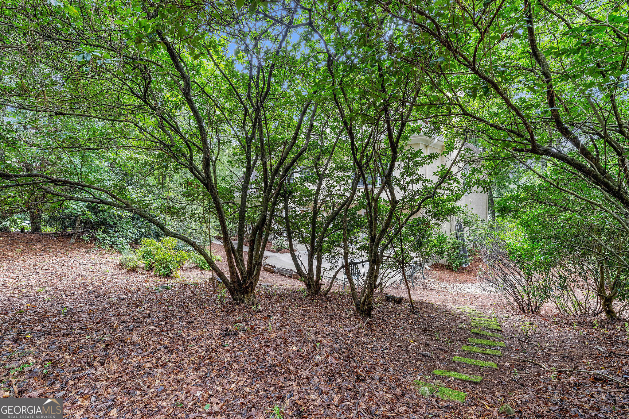 Peachtree City, Georgia 30269, United States, 5 Bedrooms Bedrooms, ,3 BathroomsBathrooms,Residential,Active,185991