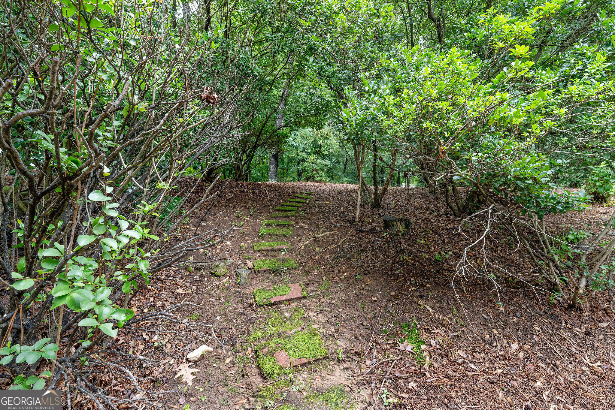 Peachtree City, Georgia 30269, United States, 5 Bedrooms Bedrooms, ,3 BathroomsBathrooms,Residential,Active,185991