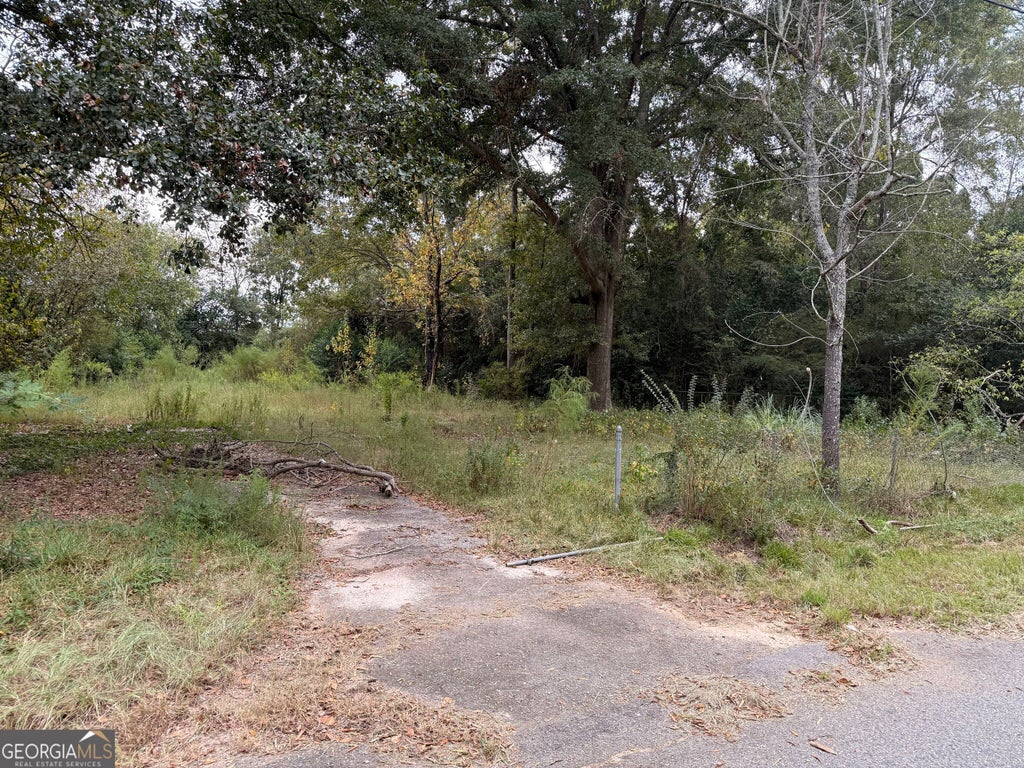 Photo of 110 Cardinal Avenue, Perry, GA 31069 (MLS # 10851225)