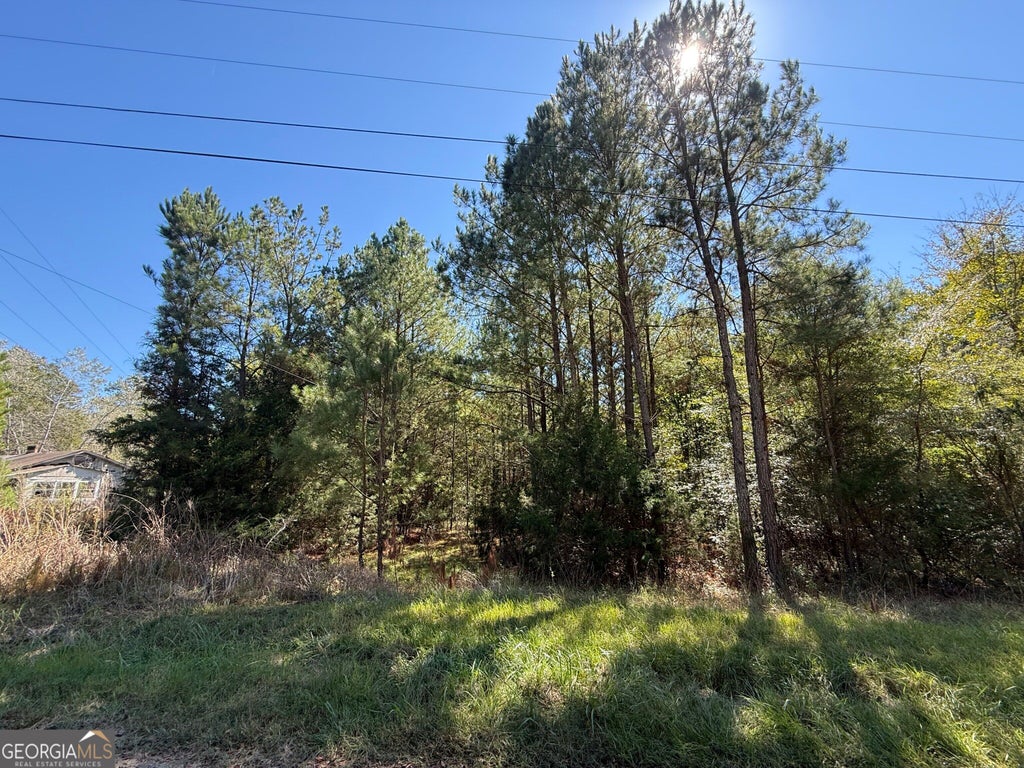 Photo of 1920 Dimps Allen Road, Elberton, GA 30635 (MLS # 10871653)