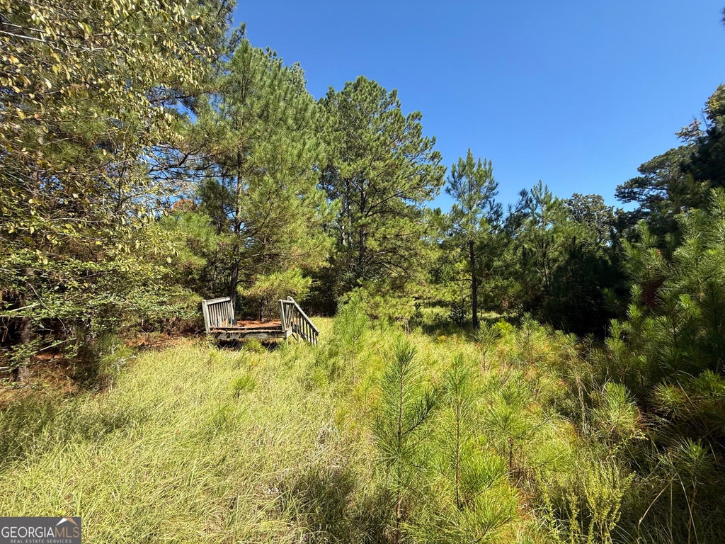 Photo of 1920 Dimps Allen Road, Elberton, GA 30635 (MLS # 10871653)