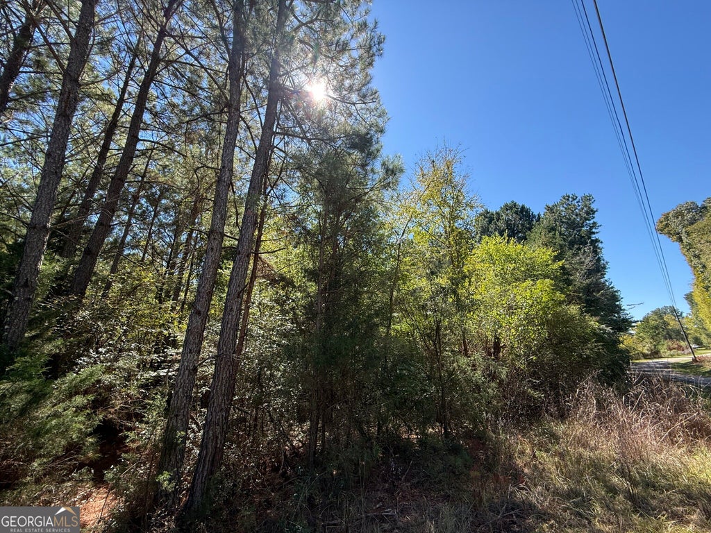 Photo of 1920 Dimps Allen Road, Elberton, GA 30635 (MLS # 10871653)