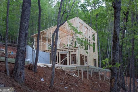 A home in Ellijay