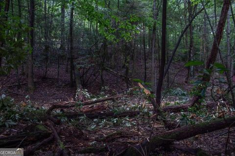 A home in Ellijay