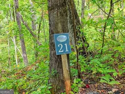 LOT 21 Skyview Overlook