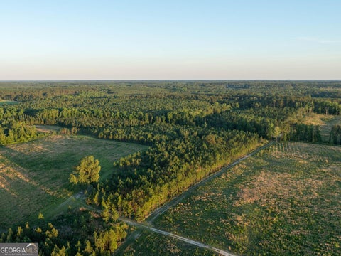 Photo of 300 Beulah Road, Sylvania, GA 30467 (MLS # 10780639)
