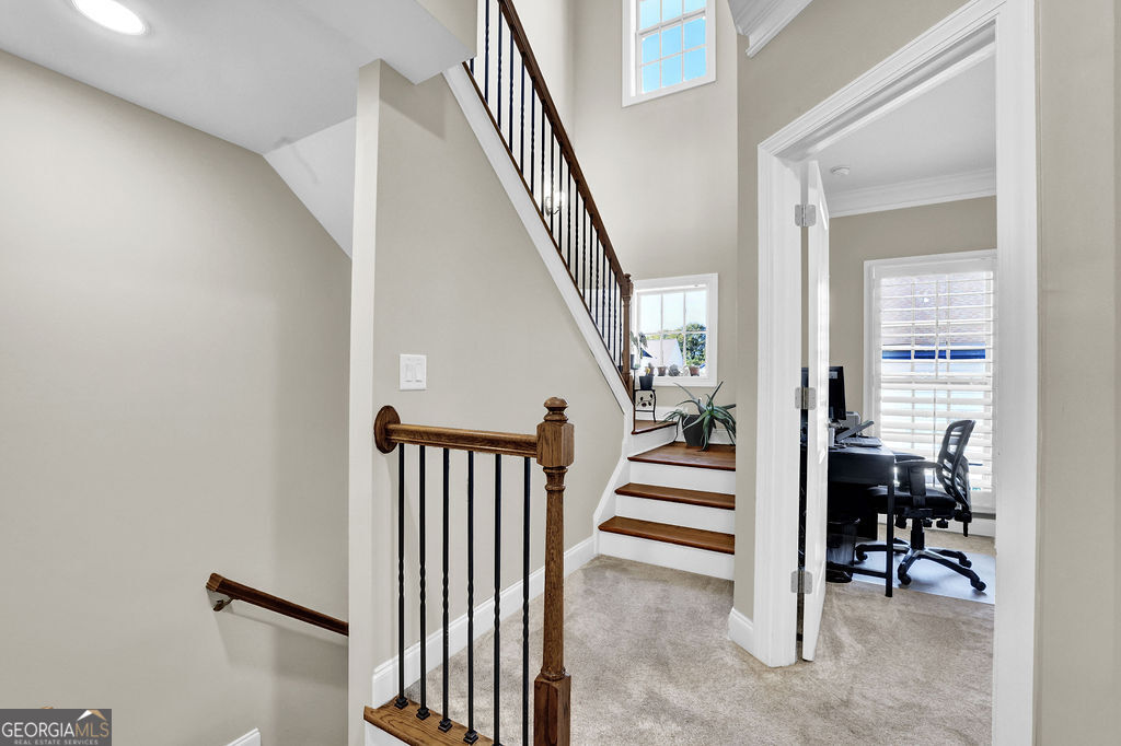 Meeting Park - Residential