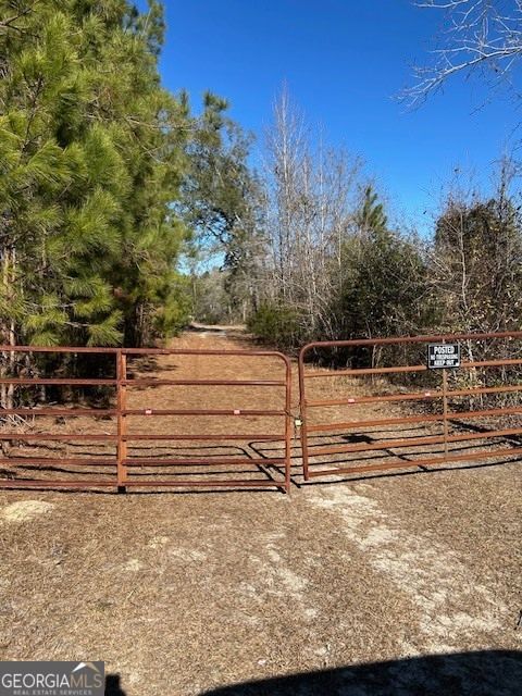 Photo of 4501 Deloach Church Road, Claxton, GA 30417 (MLS # 10685059)