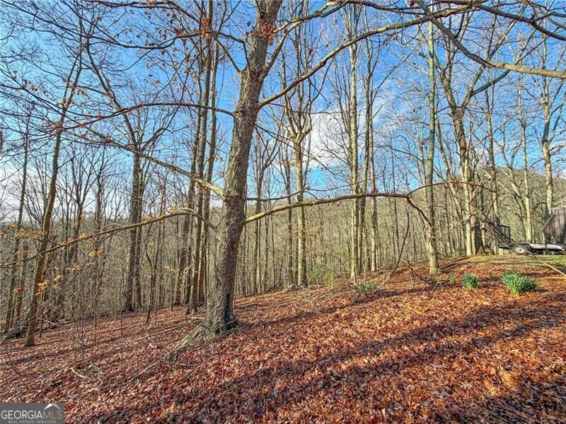 1565 Shoal Creek RD NW