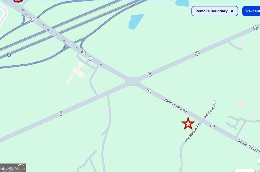 Photo of 0 Owl Hollow Road, Carnesville, GA 30519 (MLS # 10814104)