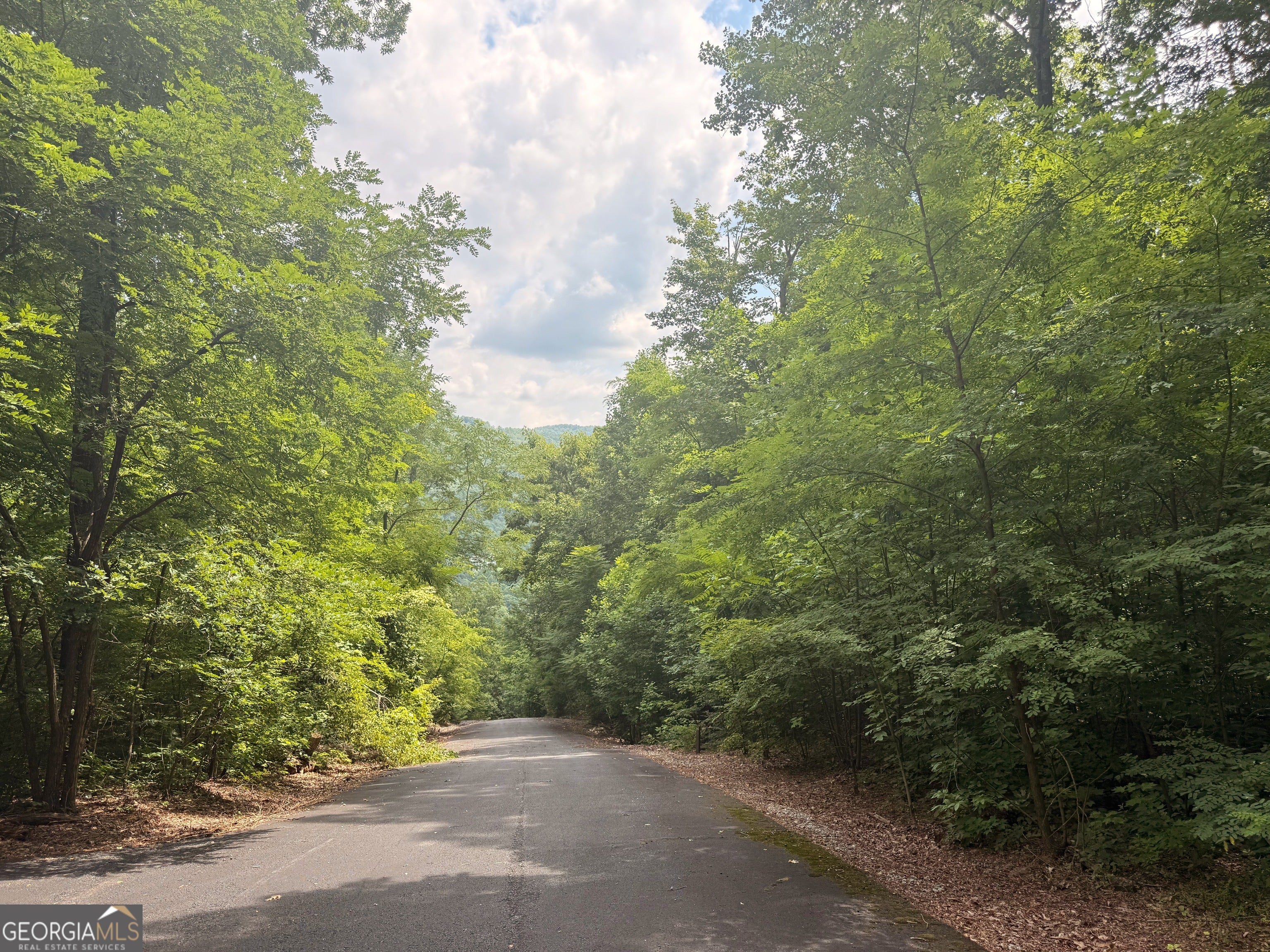 0 Streets of the Overlook at Kingwood