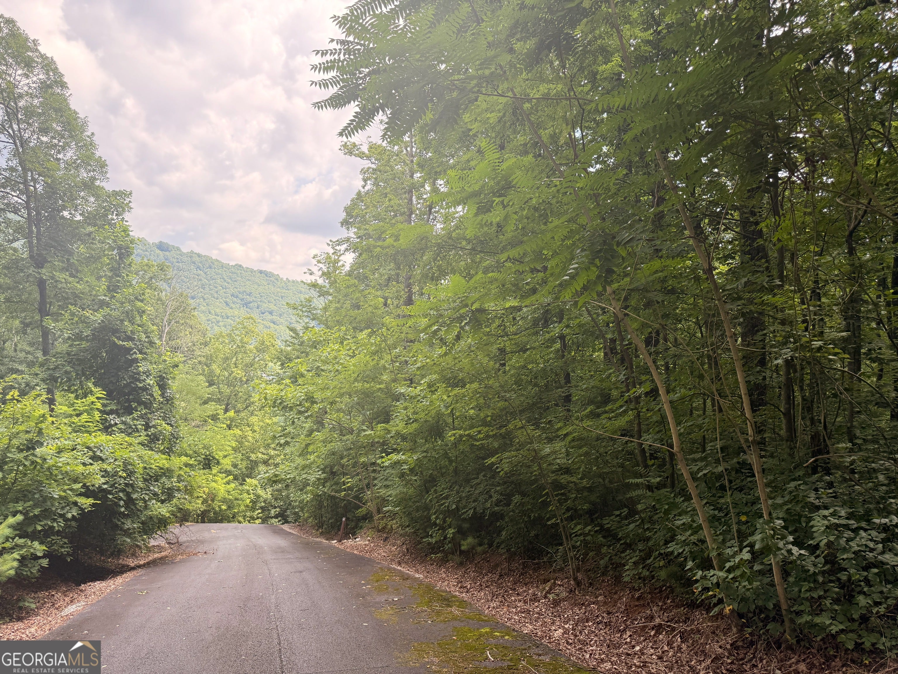 0 Streets of the Overlook at Kingwood