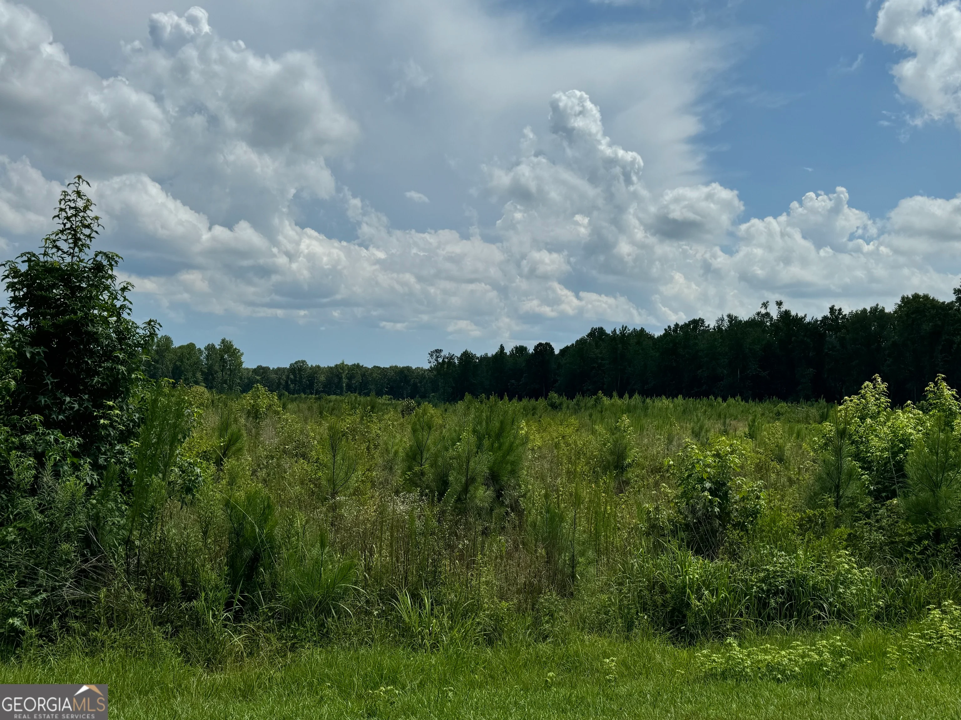 3854 Us Hwy 19, Meansville, GA, 30256