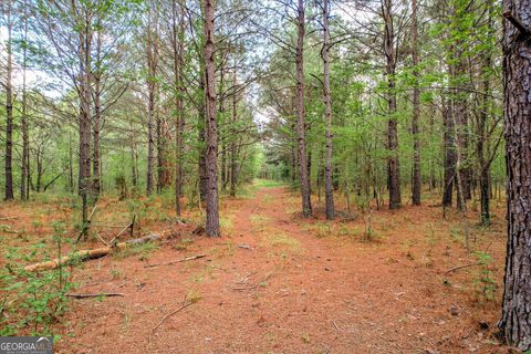 Photo of 6995 Cobbham Road, Appling, GA 30802 (MLS # 10726009)