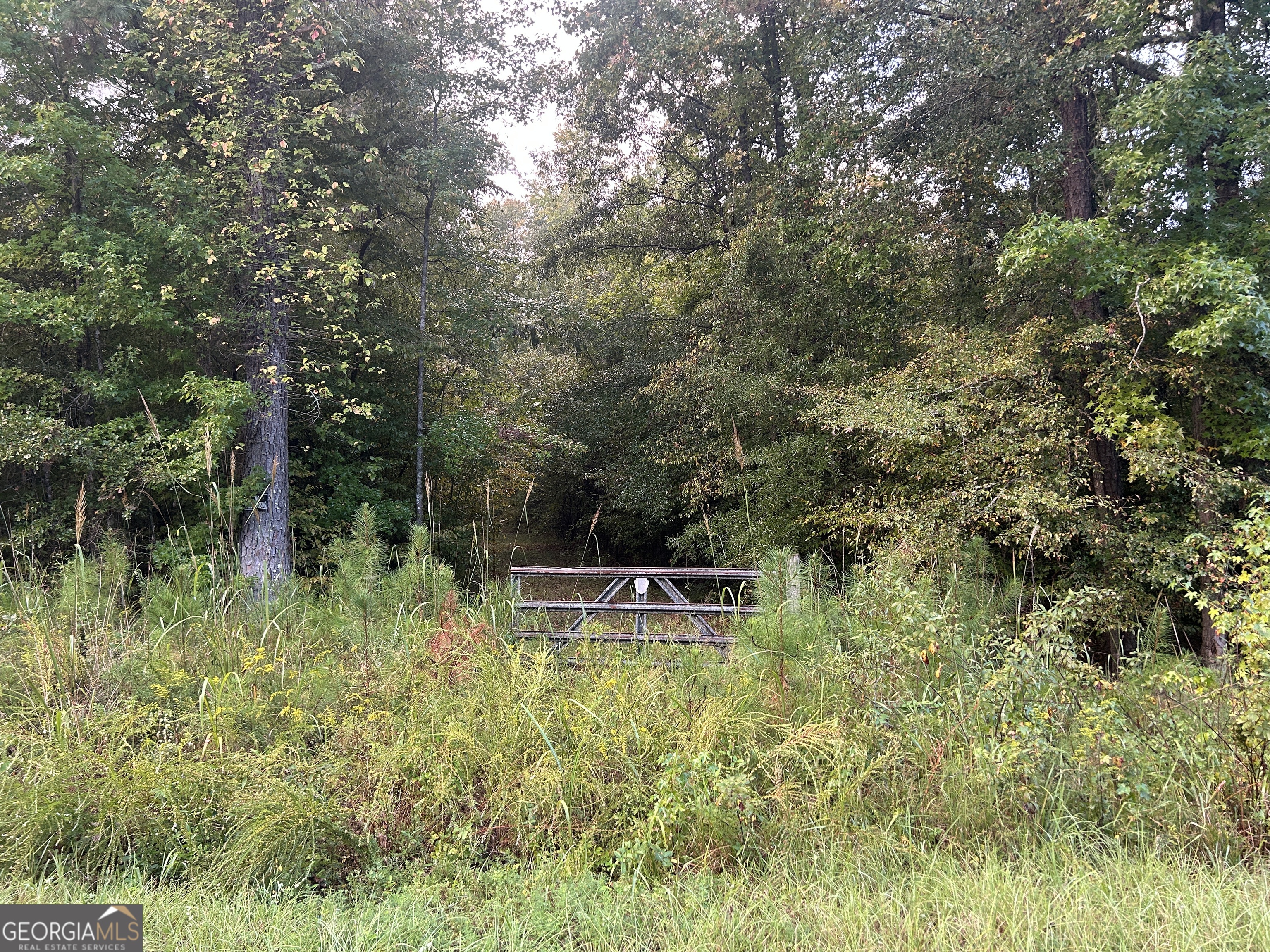 Opportunity awaits with this 20.23-acre tract located in Crawford County, just inside Lizella, GA. This versatile property offers the perfect setting to build your dream home, create a private weekend retreat, or enjoy as a recreational or hunting property. If you're looking for peaceful country living with room to roam, this land is a must-see!