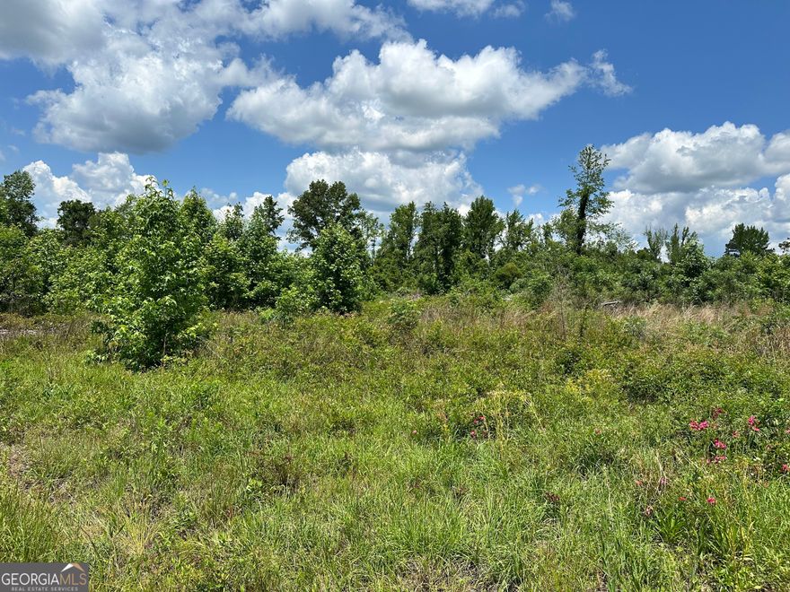 Non restricted land. Highly desirable Laurens County Build a home or mobile home or invest in the future. Lightly treed and ready for you! Original tract is 41 acres. selling the land on Highway 19 in 5 to 7 acre tracts. Come choose you lot today.