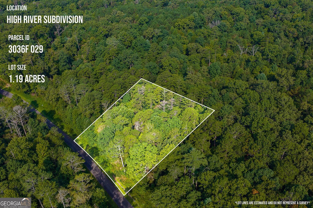 Photo of 186 Pinnacle Drive, Ellijay, GA 30540 (MLS # 10836551)