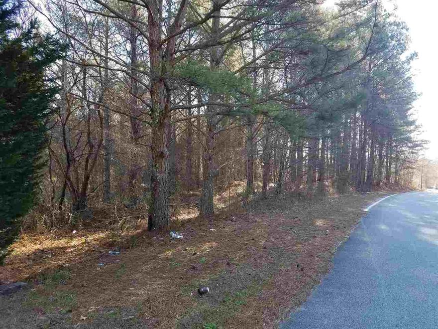 Convenient to South Fulton Parkway, airport, shopping and Arlington Private School.  Great basement lot in area of expensive homes.