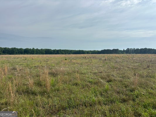 1309 JARRELL POND RD, SYLVANIA, GA 30467 - Image d3d8bdc2dbb4e64ee083257224b8e1ba/2405920417