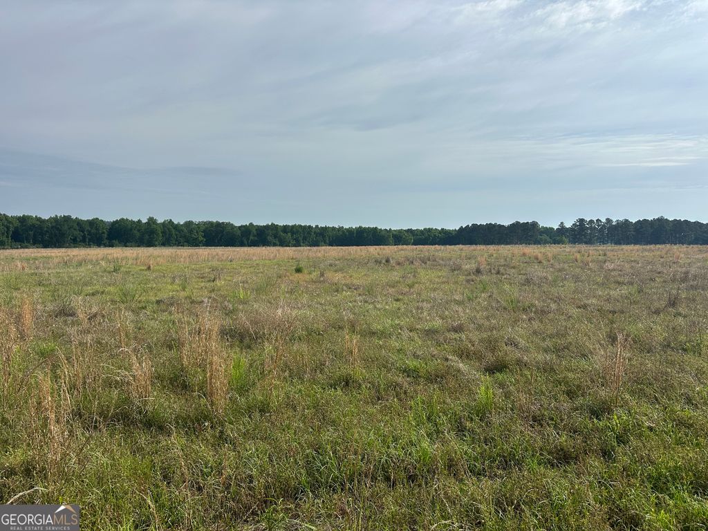 Photo of 1309 Jarrell Pond Road, Sylvania, GA 30467 (MLS # 10762476)