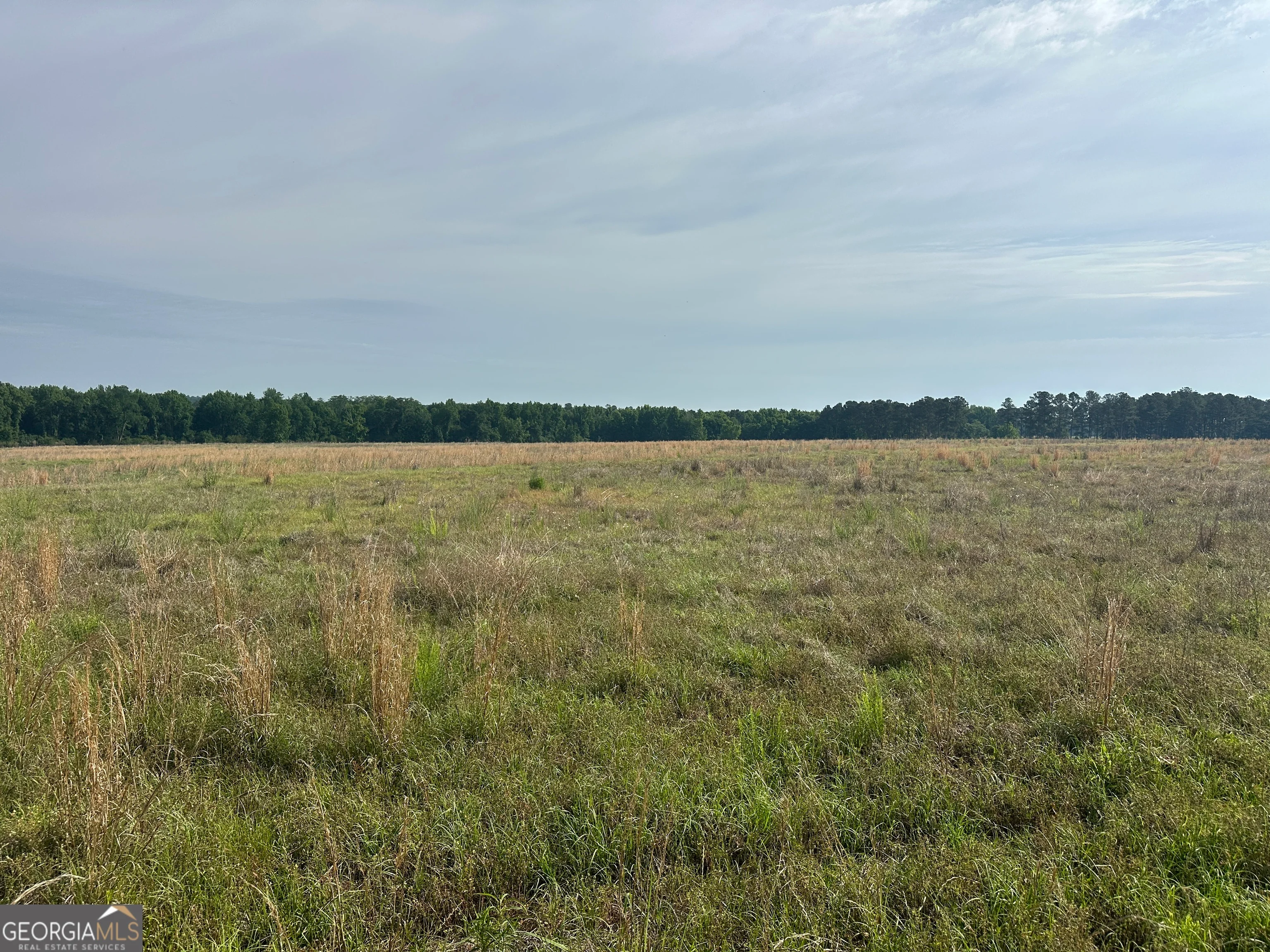 1309 Jarrell Pond Road