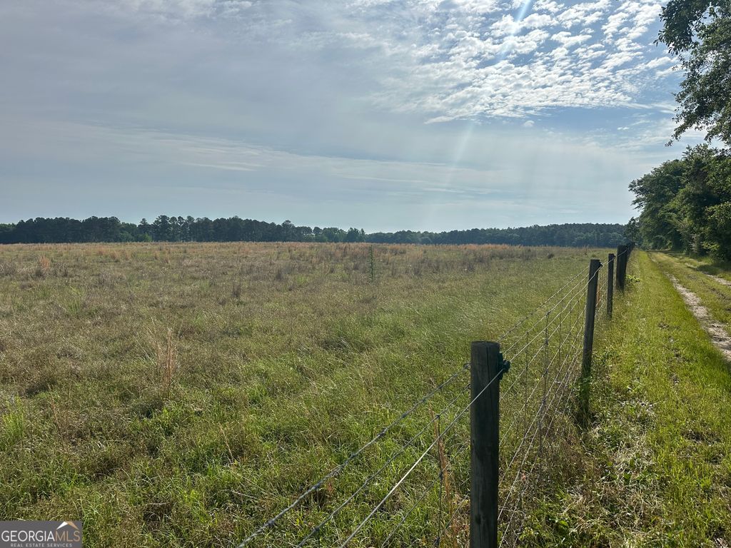 Photo of 1309 Jarrell Pond Road, Sylvania, GA 30467 (MLS # 10762476)
